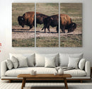 Bison Wall Art Canvas Print – Framed Western Wildlife Modern