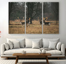 Deer Wall Art Canvas Print – Framed Rustic Wildlife Stags