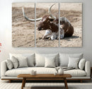 Texas Longhorn Wall Art Canvas Print – Framed Country Living