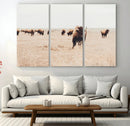 Bison Herd Wall Art Canvas Print – Framed Western Prairie