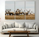 Elk Herd Wall Art Canvas Print – Framed Wildlife Photography