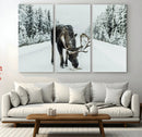 Moose Snow Wall Art Canvas Print – Framed Winter Wildlife
