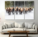 American Bison Herd Wall Art Canvas Print – Powerful Winter by MyGreatCanvas | Canvas Wall Art Prints | Photo Prints & Wall Decor