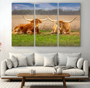 Texas Longhorn Pair Wall Art Canvas Print – Peaceful Rustic by MyGreatCanvas | Canvas Wall Art Prints | Photo Prints & Wall Decor