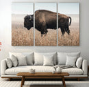 American Bison Wall Art Canvas Print – Majestic Buffalo