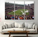 Chicago Bears Soldier Field Wall Art Canvas Print – Framed by MyGreatCanvas | Canvas Wall Art Prints | Photo Prints & Wall Decor