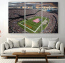 Chicago Bears Soldiers Field Wall Art Canvas Print – Framed