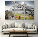 Sakura Cherry Blossom Pathway Canvas Wall Art – Tranquil