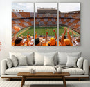 Tennessee Neyland Stadium Wall Art, Sports Arena Canvas by MyGreatCanvas | Canvas Wall Art Prints | Photo Prints & Wall Decor
