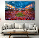 Tennessee Neyland Stadium Wall Art, Sports Arena Canvas by MyGreatCanvas | Canvas Wall Art Prints | Photo Prints & Wall Decor
