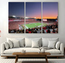 Dooley Stadium Wall Art, Sports Arena Canvas Print, Dooley by MyGreatCanvas | Canvas Wall Art Prints | Photo Prints & Wall Decor