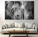 Wild Old Elephant Wall Art Canvas Print
