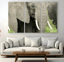 Wild Elephant Wall Art Canvas Print by MyGreatCanvas | Canvas Wall Art Prints | Photo Prints & Wall Decor