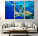 Sea Turtle Wall Art Canvas Print, Sea life in the Ocean Wall