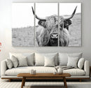 Newfoundland Cow Art Wall Art, Black White Cow Art Wall Art