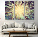Tree and Sunshine Canvas Print