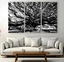 Mighty Angel Oak Wall Art | Angel Oak Tree Art Print by MyGreatCanvas | Canvas Wall Art Prints | Photo Prints & Wall Decor