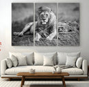 King Forest Lion Wall Art Canvas Print – Framed Majestic by MyGreatCanvas | Canvas Wall Art Prints | Photo Prints & Wall Decor