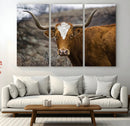 Texas Longhorn Canvas Wall Art - Longhorn Steer Canvas Wall by MyGreatCanvas | Canvas Wall Art Prints | Photo Prints & Wall Decor