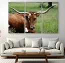 Longhorn Cow Animal Wall Art Canvas Print by MyGreatCanvas | Canvas Wall Art Prints | Photo Prints & Wall Decor