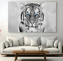 Tiger Canvas Artwork Wall Art Print