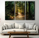Natural Landscape Wall Art Relaxing Forest Canvas Print