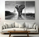 Black and White Elephant Wall Art Canvas Print