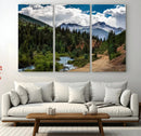 San Juan Nal Forest Wall Art Landscape Canvas Print