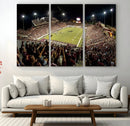 Washington-Grizzly Stadium Canvas Print, American Football