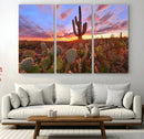 Arizona Desert Wall Art Canvas Print - Framed Deser Sunset
