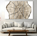 Abstract Wood Tree Ring Wall Art - Ready to Hang Minimalist