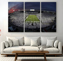 Penn State University Nittany Lions Football Team Print -