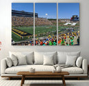 University of Missouri Tigers Football Team Print - Columbia by MyGreatCanvas | Canvas Wall Art Prints | Photo Prints & Wall Decor