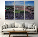 South Carolina Gamecocks Football Team Print - Columbia