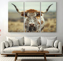 Texas Cow Longhorn Wall Art Canvas Print for Farm House Wall