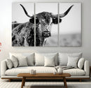 Texas Cow Longhorn Wall Art Canvas Print in Black and White by MyGreatCanvas | Canvas Wall Art Prints | Photo Prints & Wall Decor
