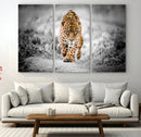 Jaguar Wall Art Canvas Print - Majestic Big Cat in Focused by MyGreatCanvas | Canvas Wall Art Prints | Photo Prints & Wall Decor