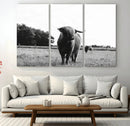 Black and White Highland Cow Wall Art Canvas Print | Rustic