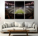 Eagles Field Stadium Wall Art - Philadelphia Eagles Football