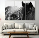 Black Horse in Snow Canvas Print | Winter Horse Wall Art |