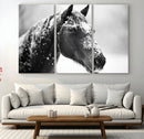 Horse Canvas Print - Winter Horse Snow Wall Art Canvas Print