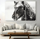 Framed Black and White Horse Wall Art | Ready to Hang and by MyGreatCanvas | Canvas Wall Art Prints | Photo Prints & Wall Decor