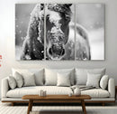 Black and White Horse Winter Wall Art | Ready to Hang and