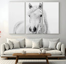 Majestic White Horse Wall Art | Ready to Hang and Framed |