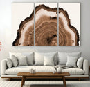Rustic Wood Rings Wall Art | Nature-Inspired Tree Ring