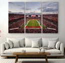 Florida Tampa Raymond James Stadium Wall Art Canvas Print - by MyGreatCanvas | Canvas Wall Art Prints | Photo Prints & Wall Decor
