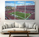 Florida Tampa Raymond James Stadium Wall Art Canvas Print -