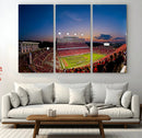 NC State Wolfpack Football Team Print - Raleigh by MyGreatCanvas | Canvas Wall Art Prints | Photo Prints & Wall Decor