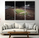 Wisconsin Badgers Football Team Print - Madison Camp Randall