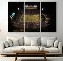 Wake Forest University Demon Deacons Canvas Printi, Football